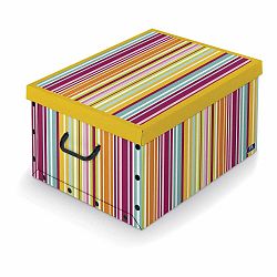 Farebný úložný box Domopak