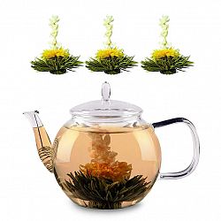 Feelino Sklenená kanvica, 1300 ml, borosilikátové sklo, s uzáverom, čajové sitko a čajové kvety